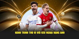 Bí kíp soi kèo bóng đá Premier League từ cao thủ chuyên nghiệp
